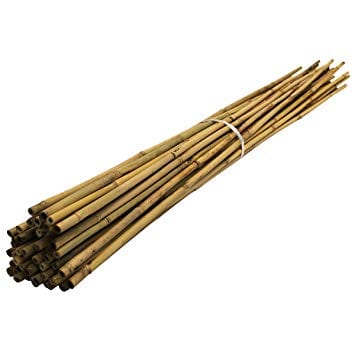 Bambupinnar (styckpris, 120cm)