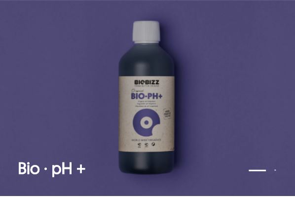 BIOBIZZ – Bio Up (pH+)