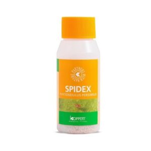 KOPPERT – Spidex (Phytoseiulus Persimilis; 2000st) mot Spinn