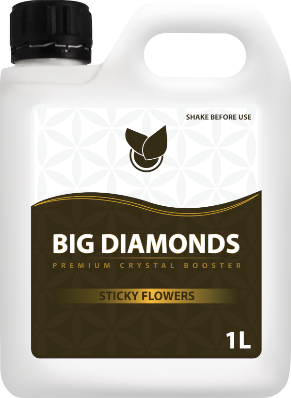 BIG Diamond - Big Plant Science