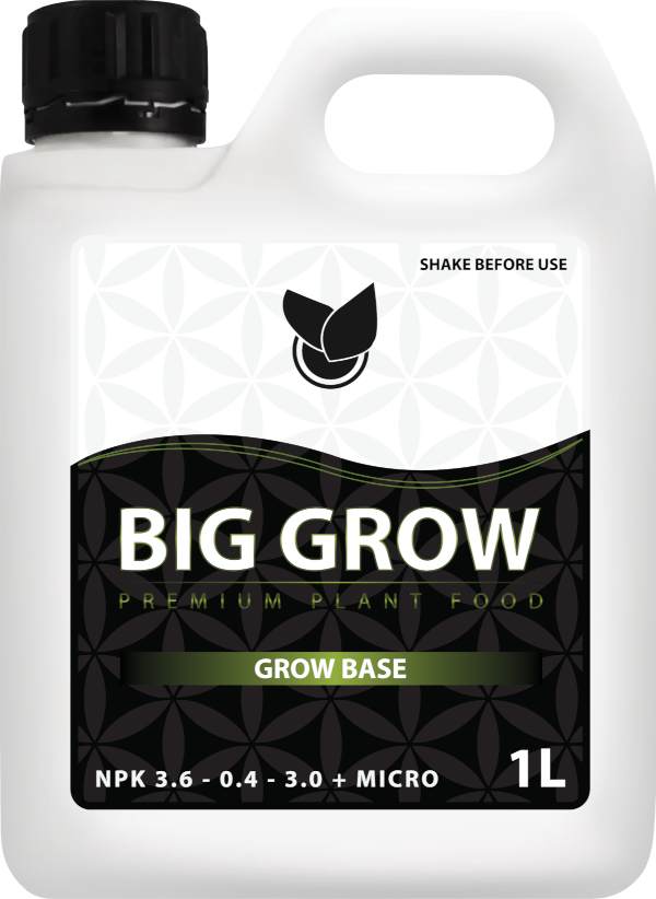 BIG GROW - Big Plant Science