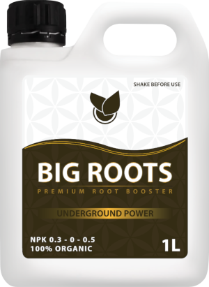 BIG ROOTS (Big Plant Science)