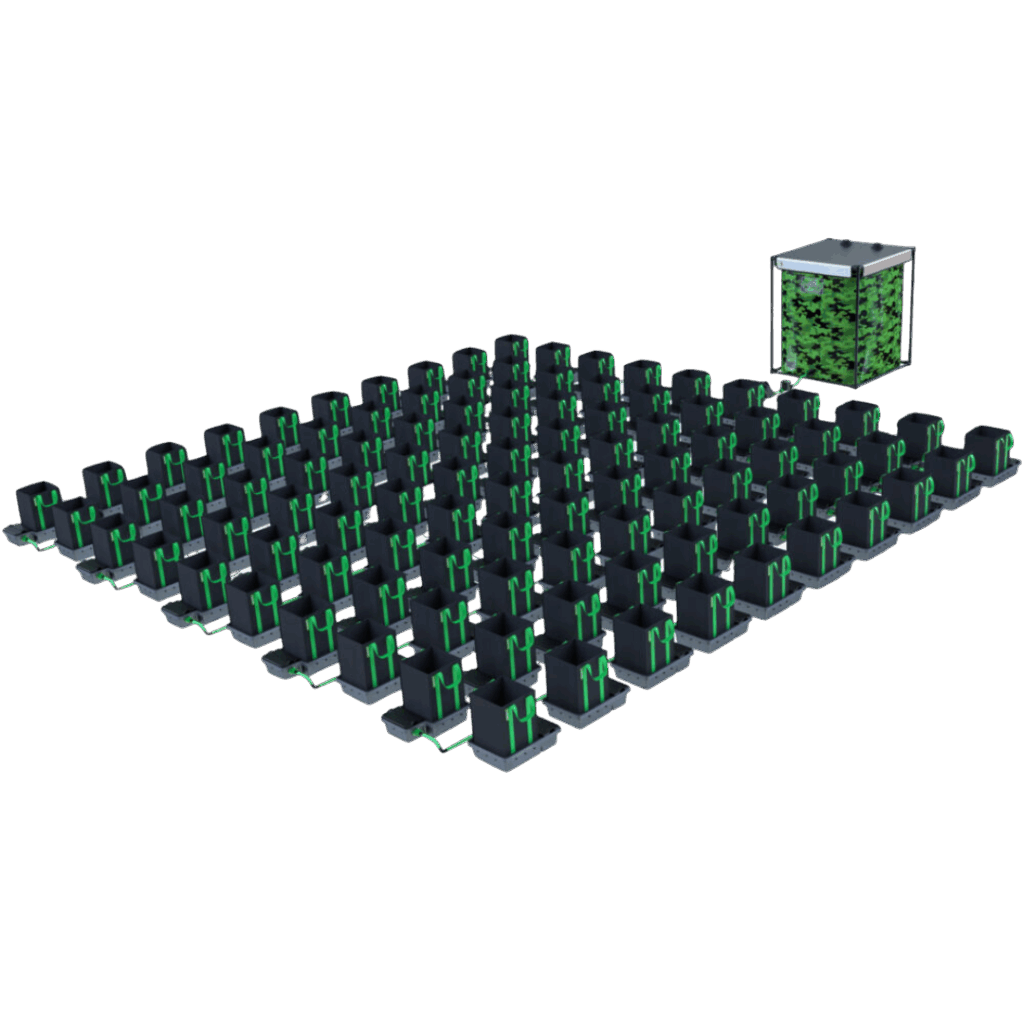 Alien - Easyfeed 100 kruka 16L