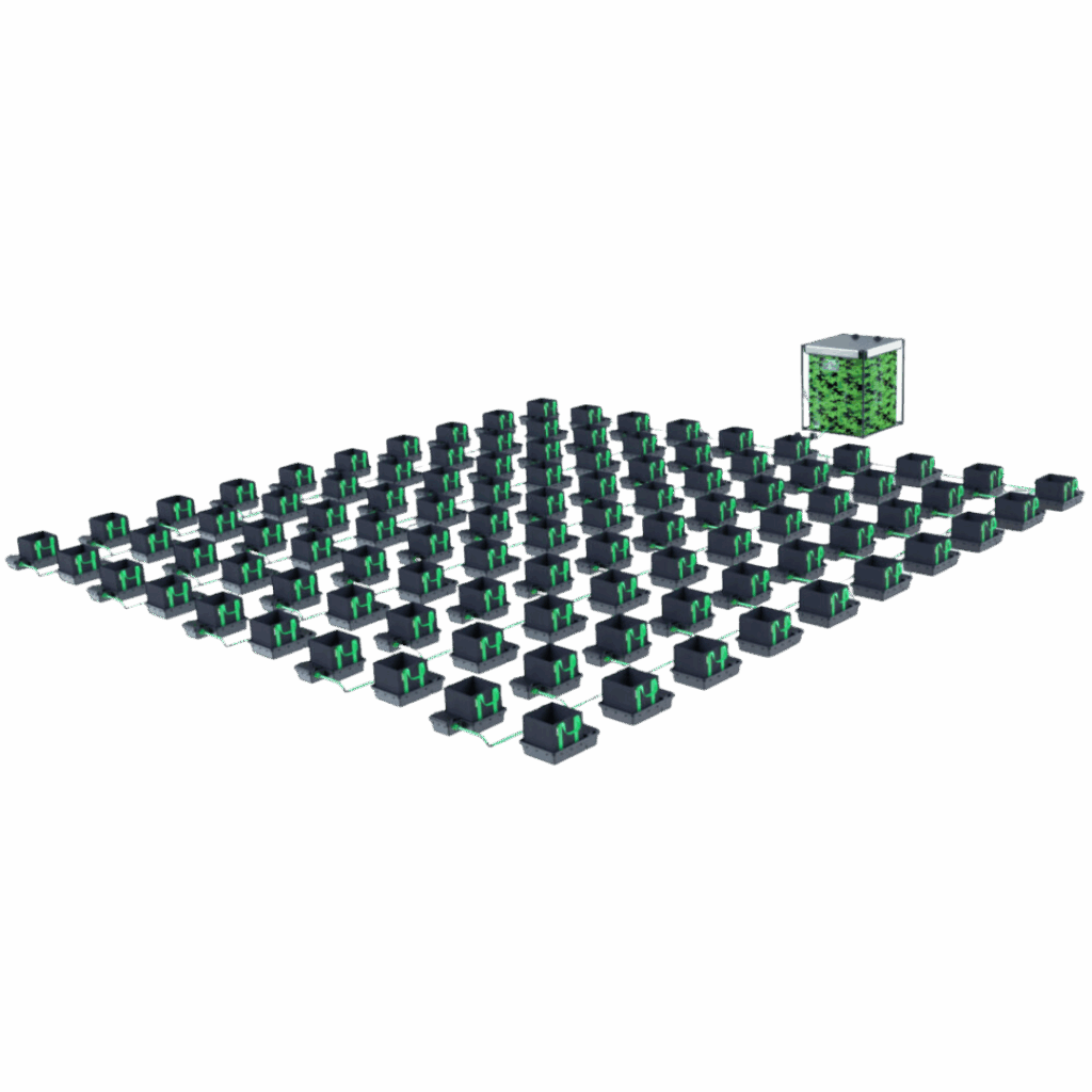 Alien - Easyfeed 100 kruka 22L