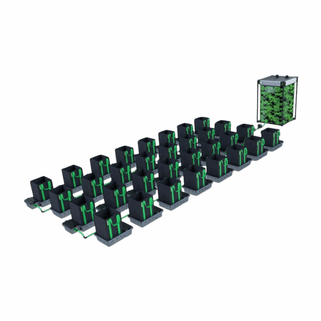 Alien - Easyfeed 32 kruka 16L