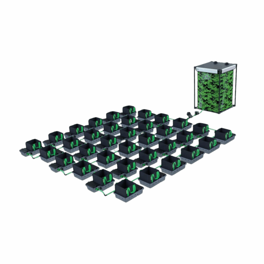 Alien - Easyfeed 36 kruka 10L