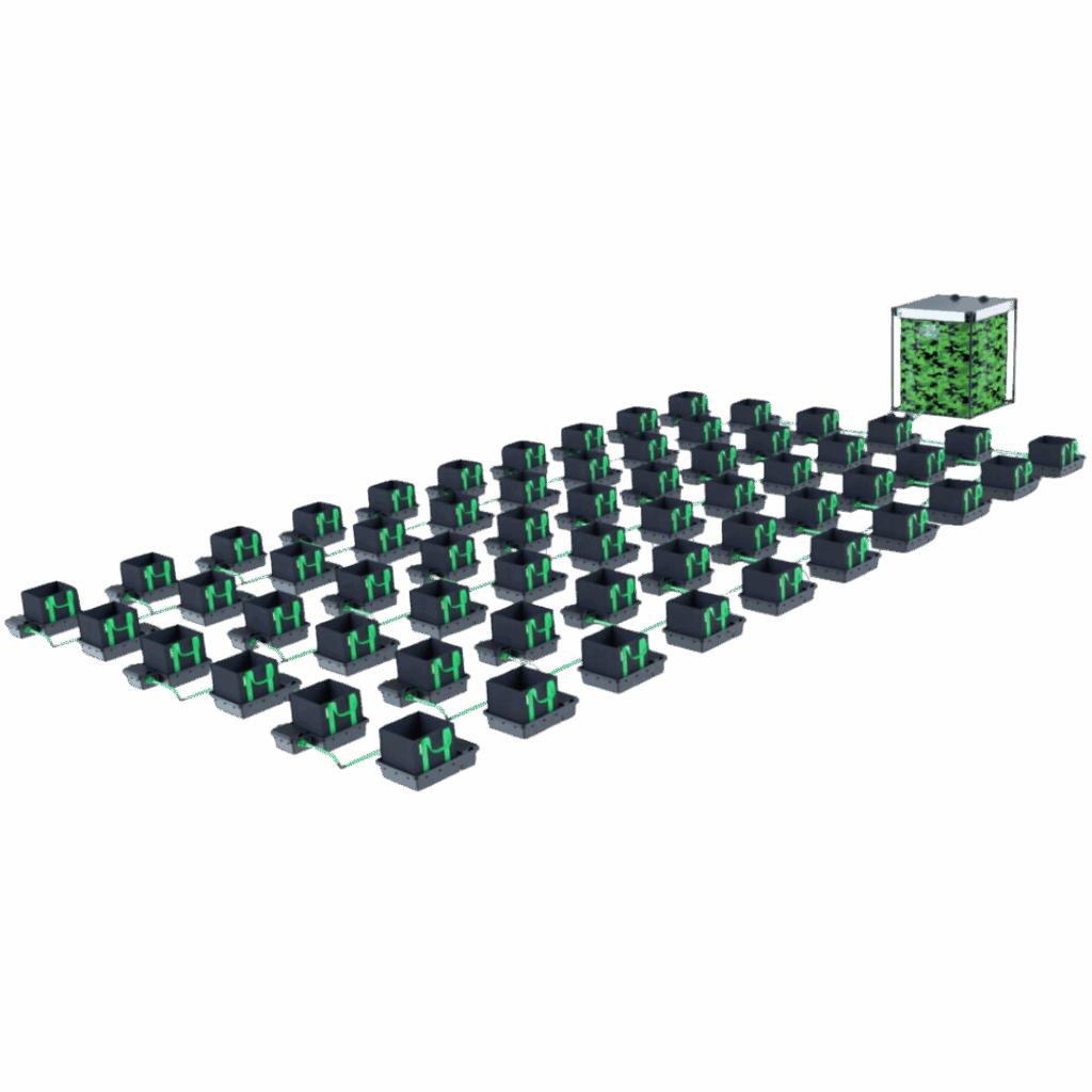 Alien - Easyfeed 60 kruka 22L