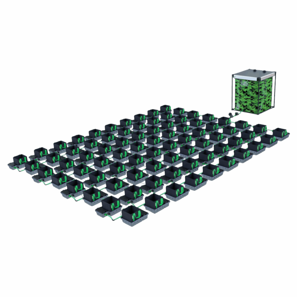 Alien - Easyfeed 80 kruka 10L
