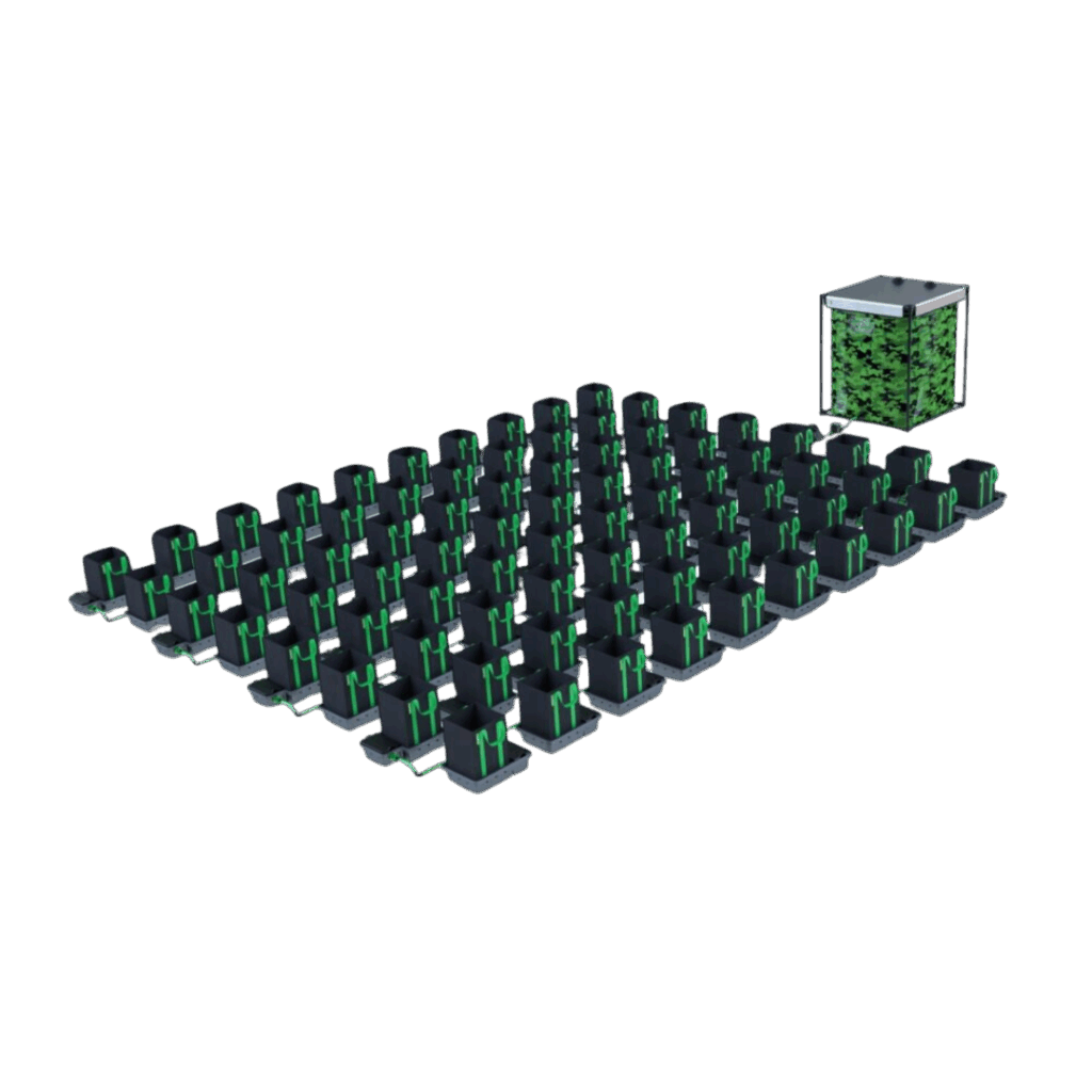 Alien - Easyfeed 80 kruka 16L