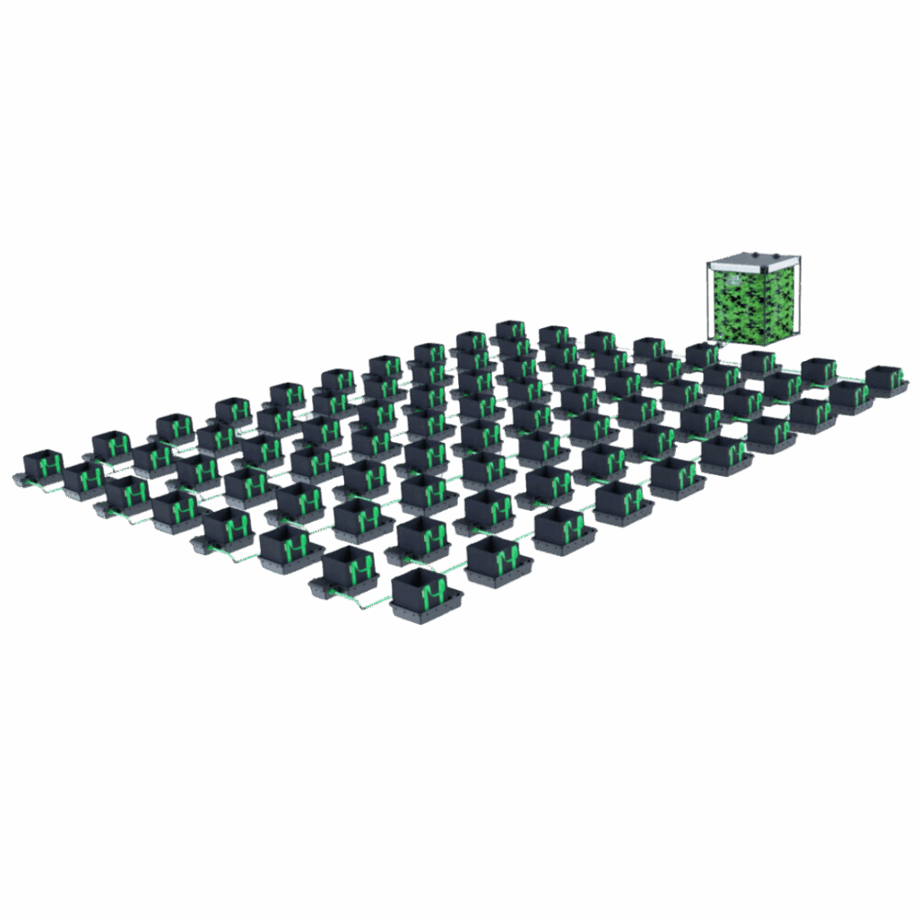 Alien - Easyfeed 80 kruka 22L