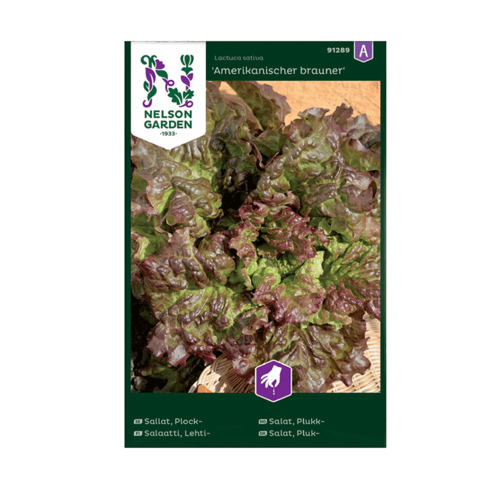 Amerikanischer braun