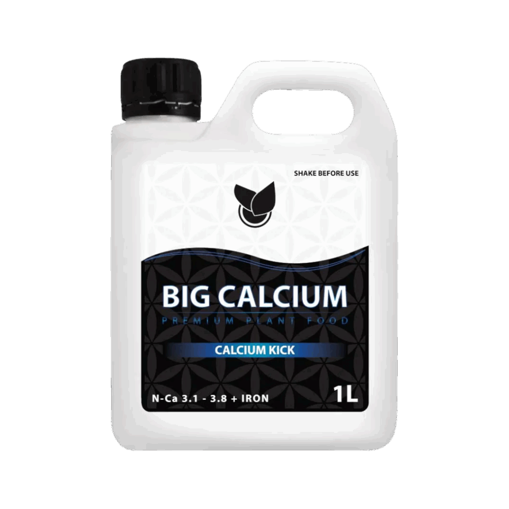 BIG KALCIUM