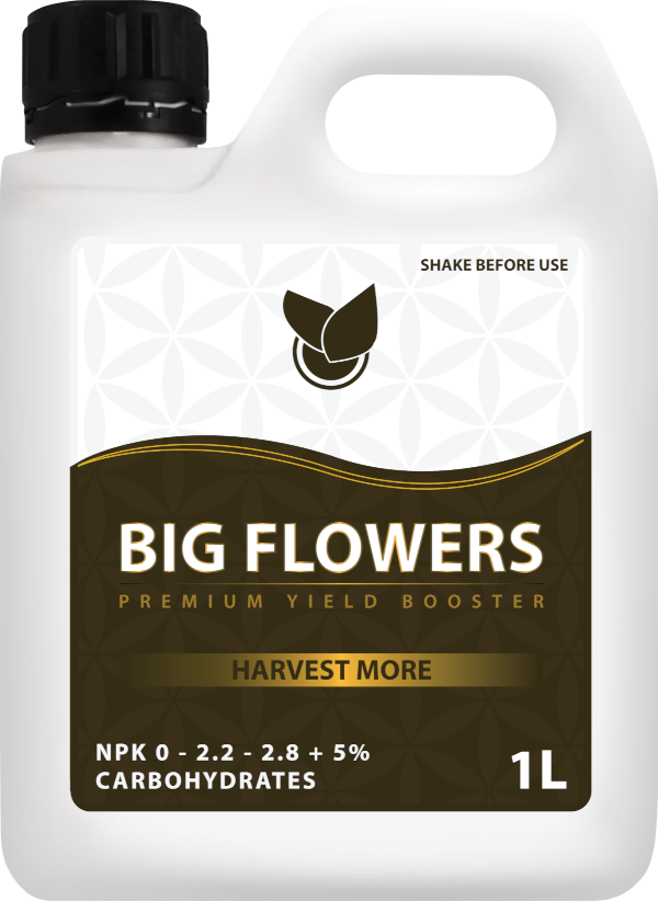 BIG FLOWERS - Big Plant Science