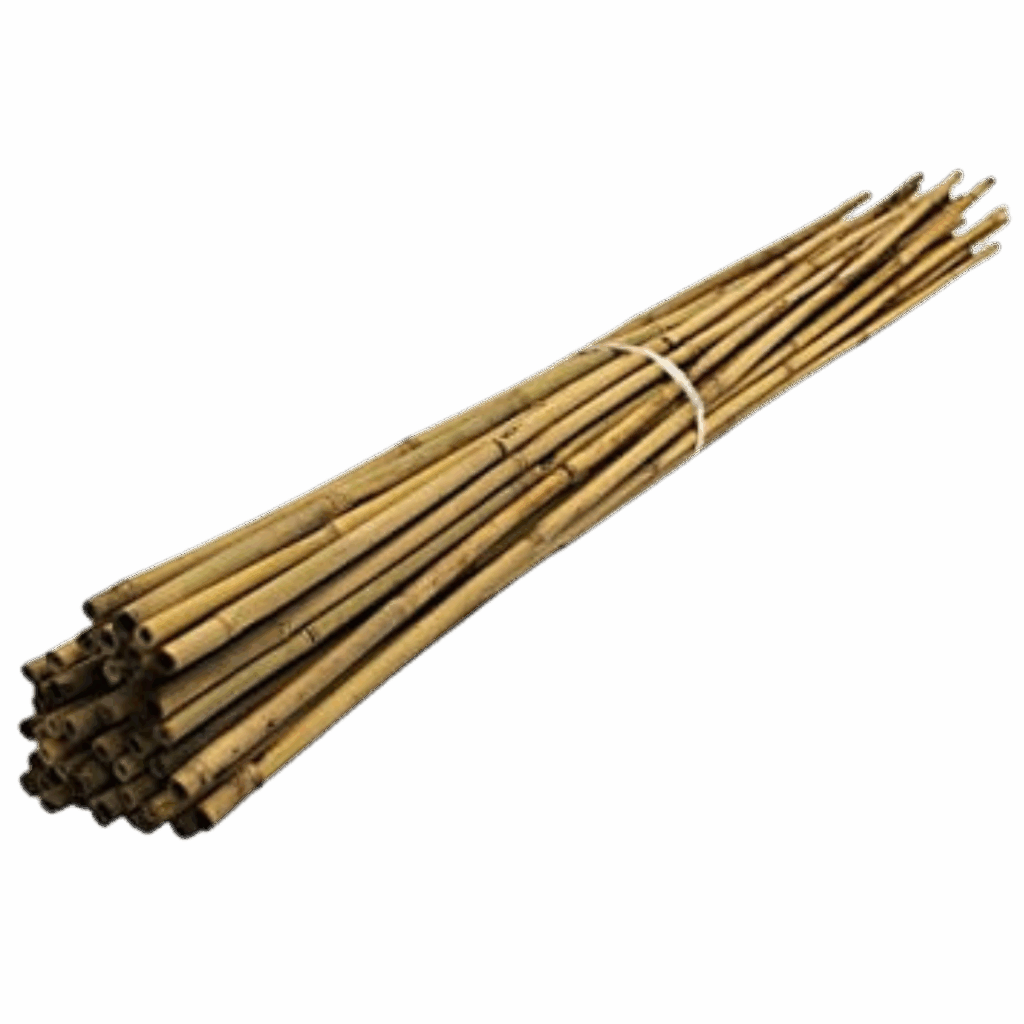 Bambupinnar - 25 st - 120 cm