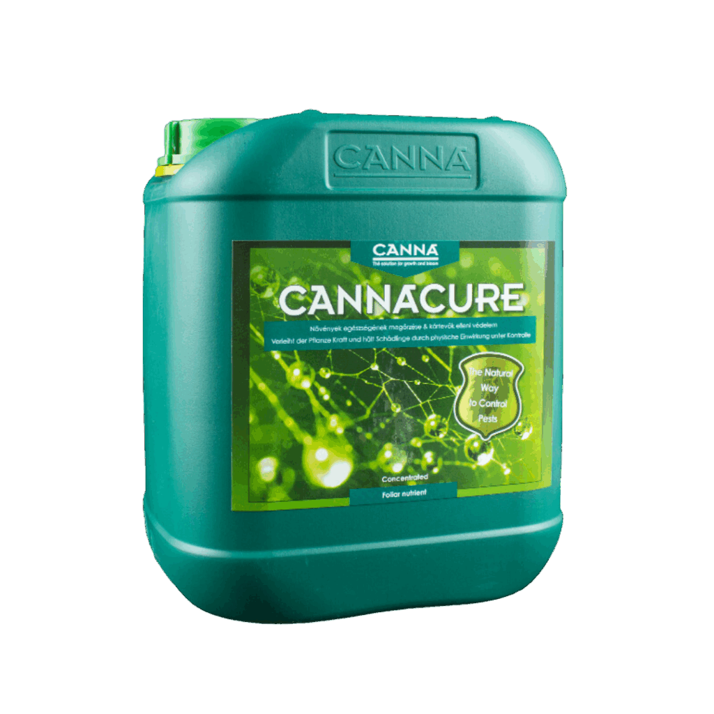 Canna Cure