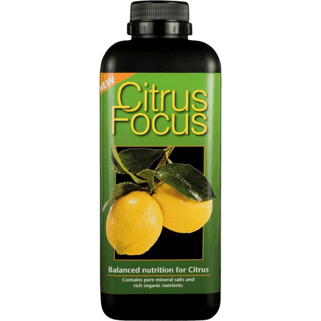 Citrus Focus 1L