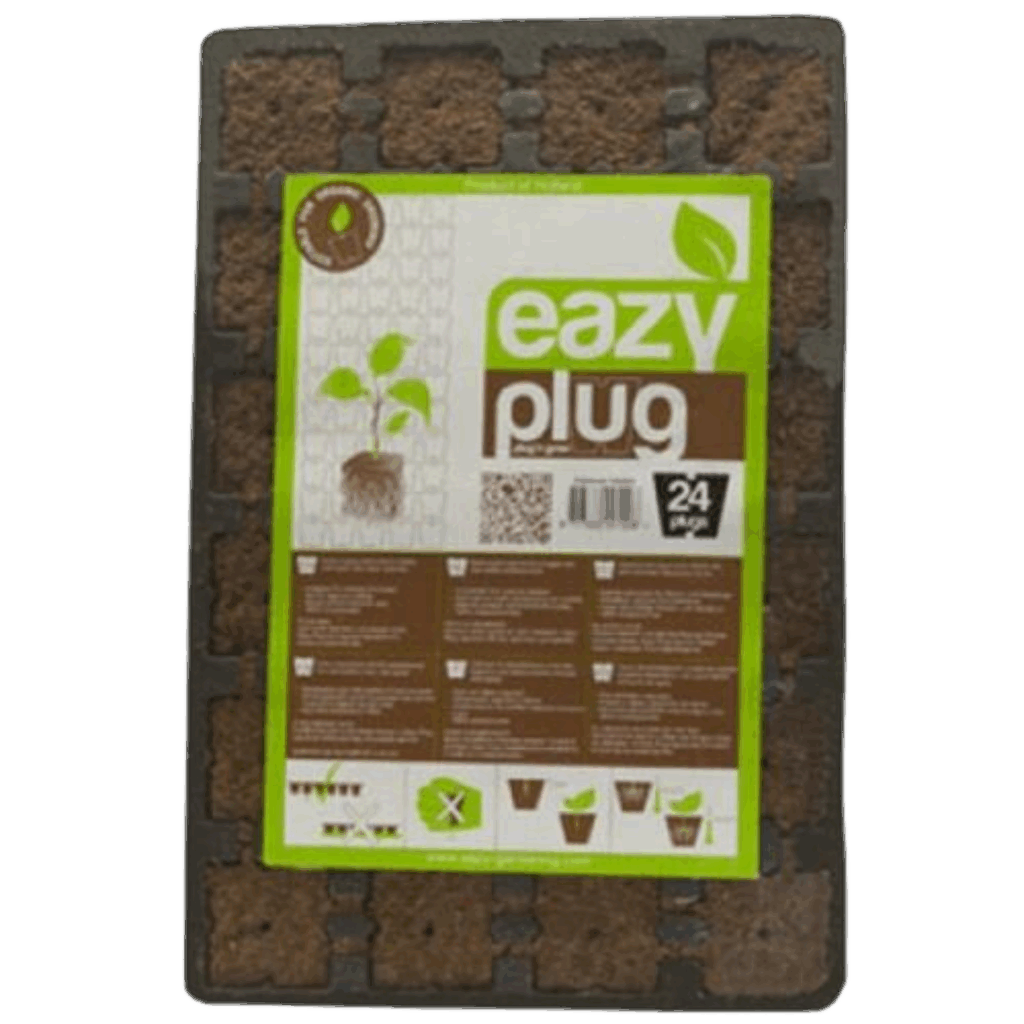Easy Plug - 24st