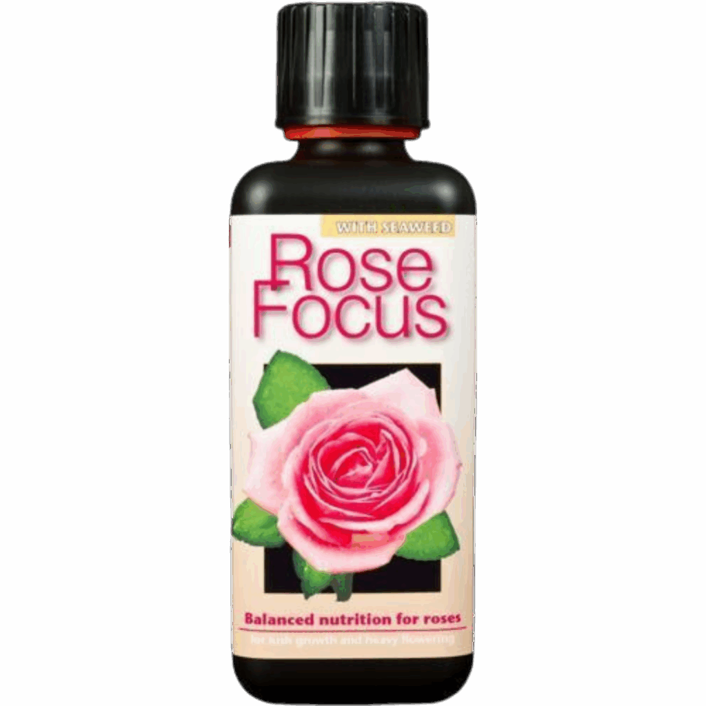 Growth Technology - Rose Focus