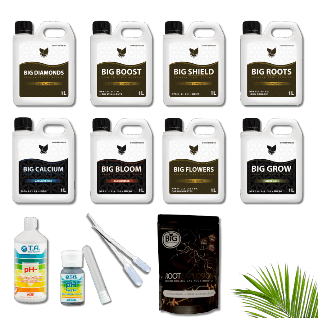 Big Plant Science - Komplett Kit