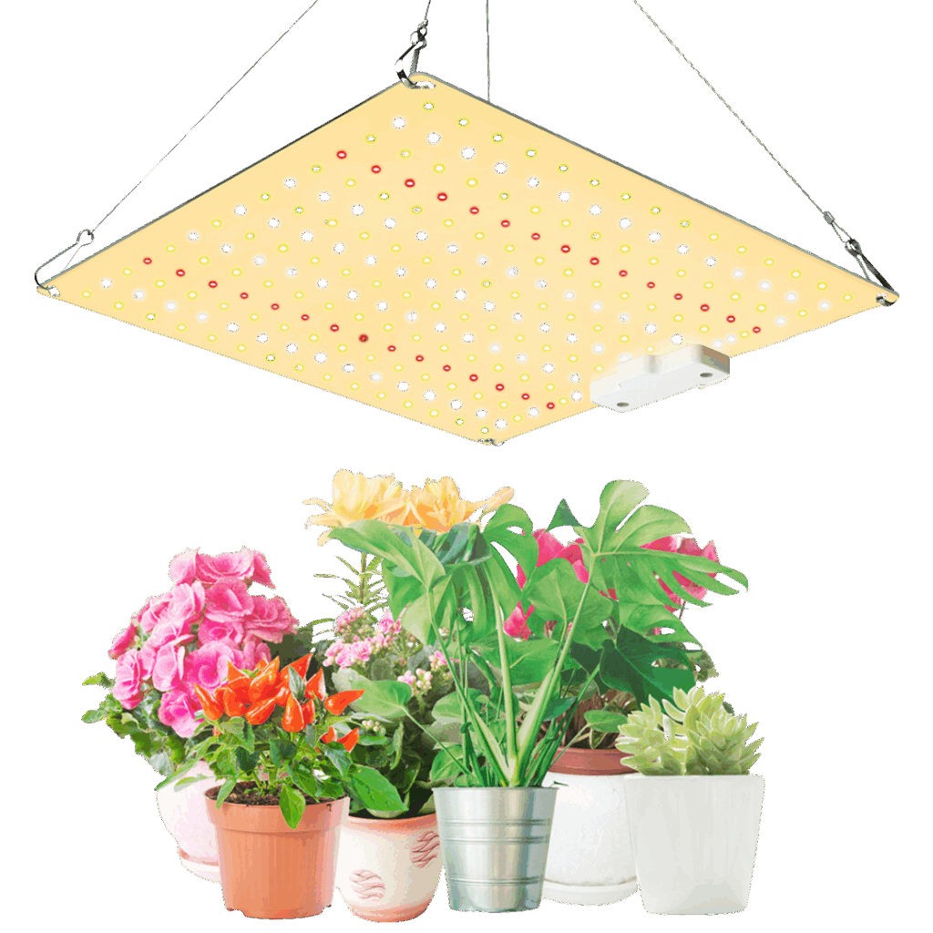 LED-ljus för tillväxt och blomning - 50W