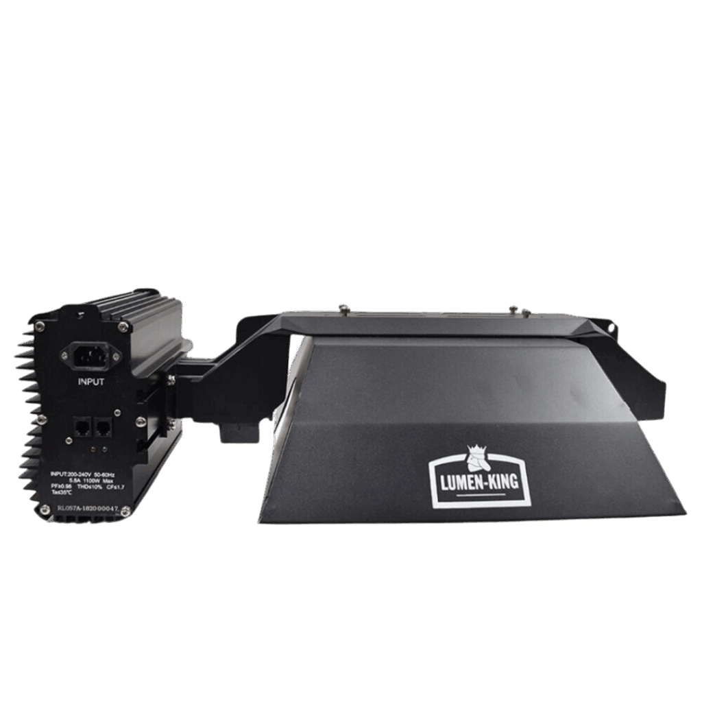 Lumen King - 1000W