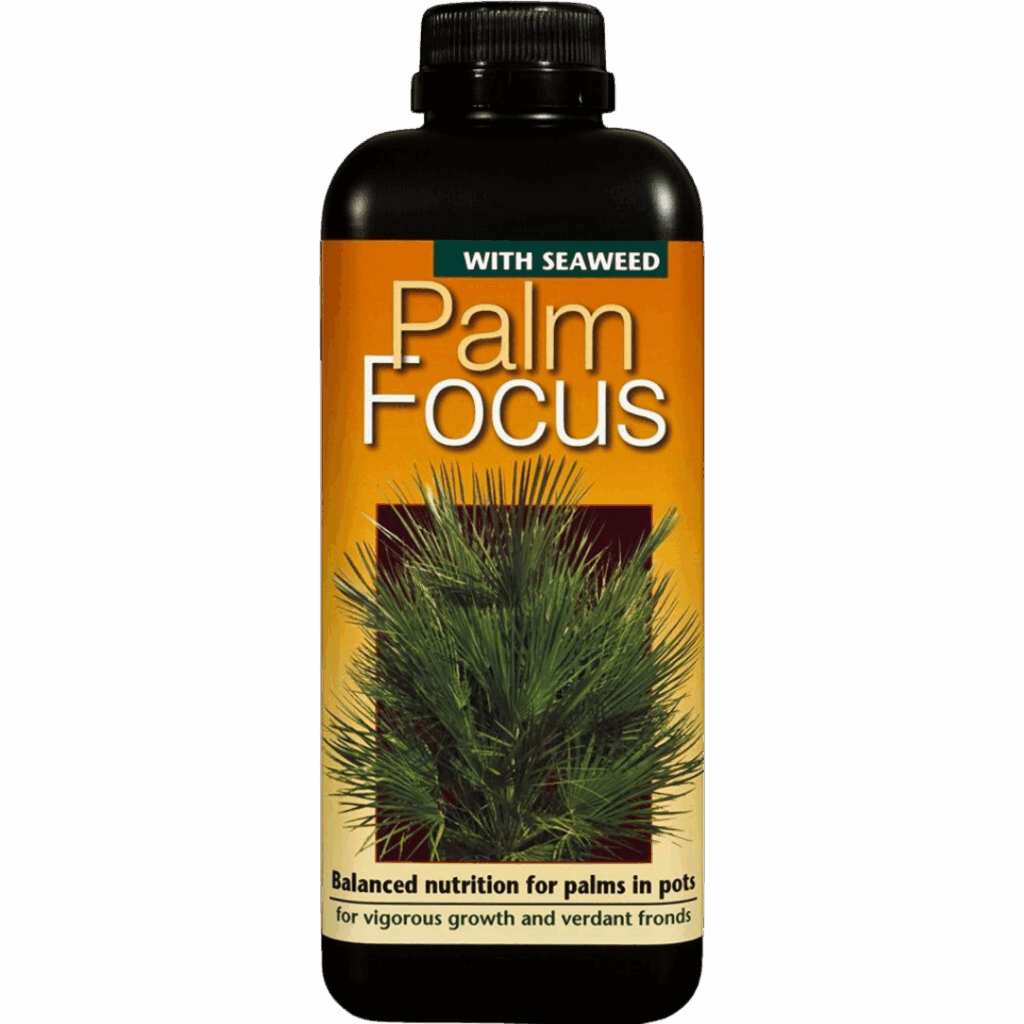 Palm Focus 1L