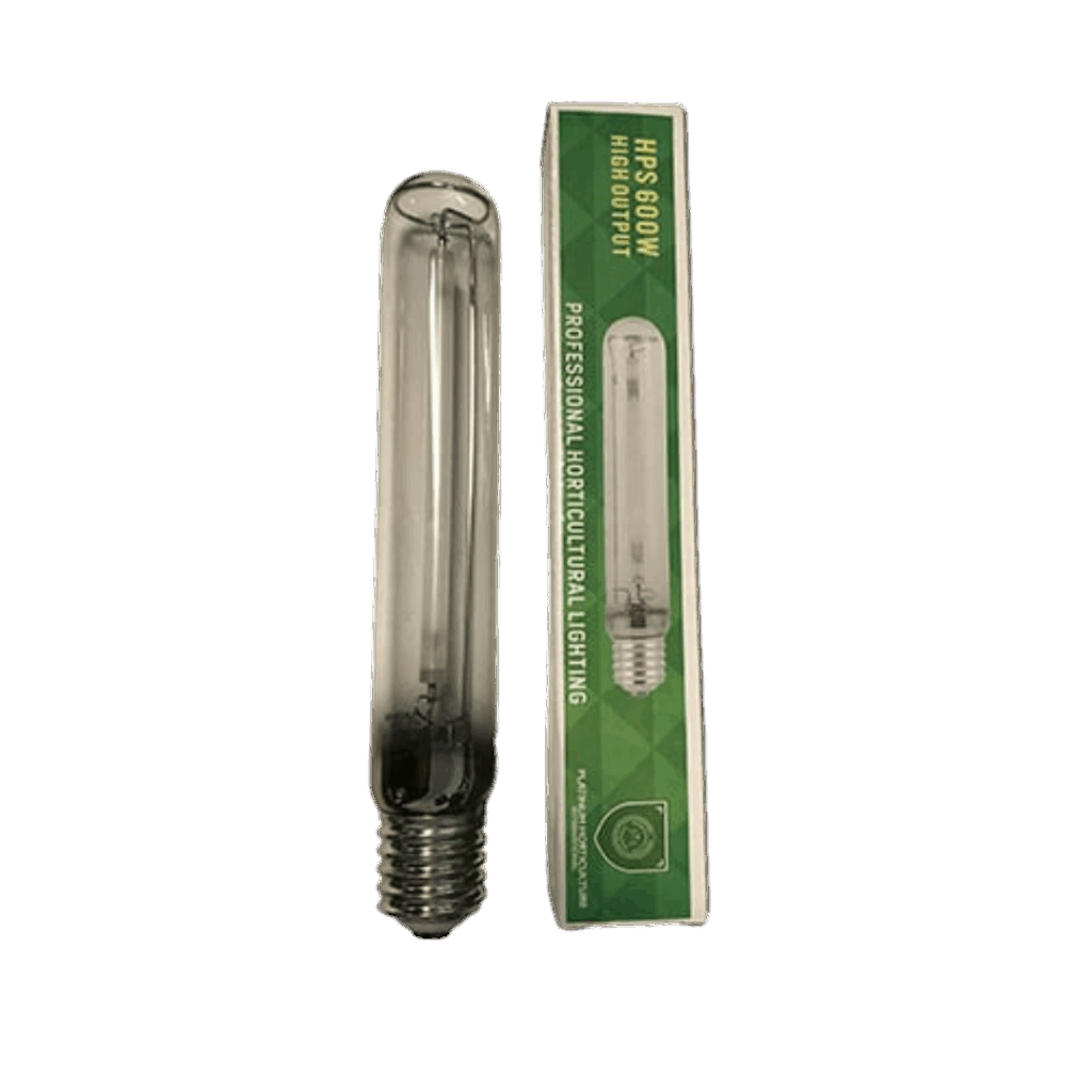 Platinum 600w glödlampa