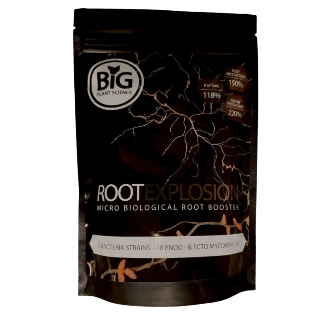 ROOT EXPLOSION - Big Plant Science