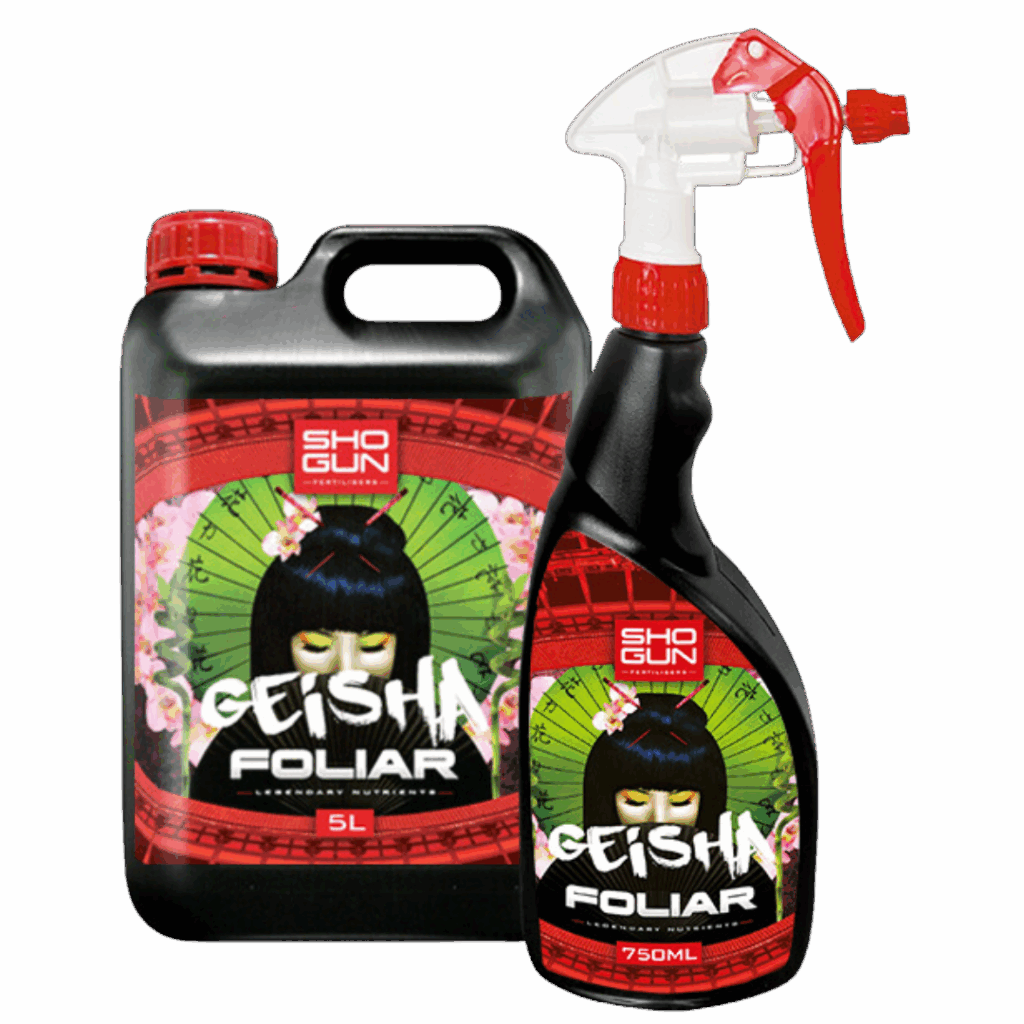 SHOGUN - Geisha Foliar