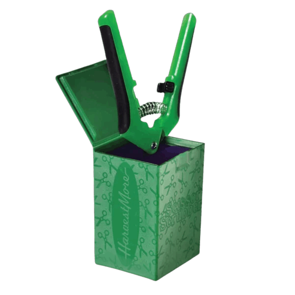 Scissor Scrubber (saxrengöring)