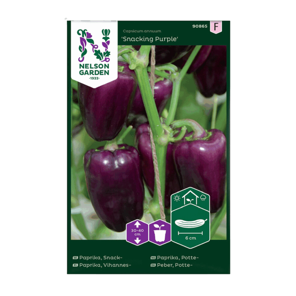 Snacking Purple
