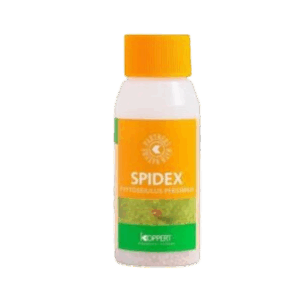 Spidex 2000 st - mot spinnkvalster