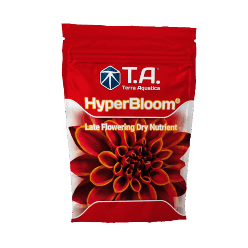 T.A Hyper Bloom
