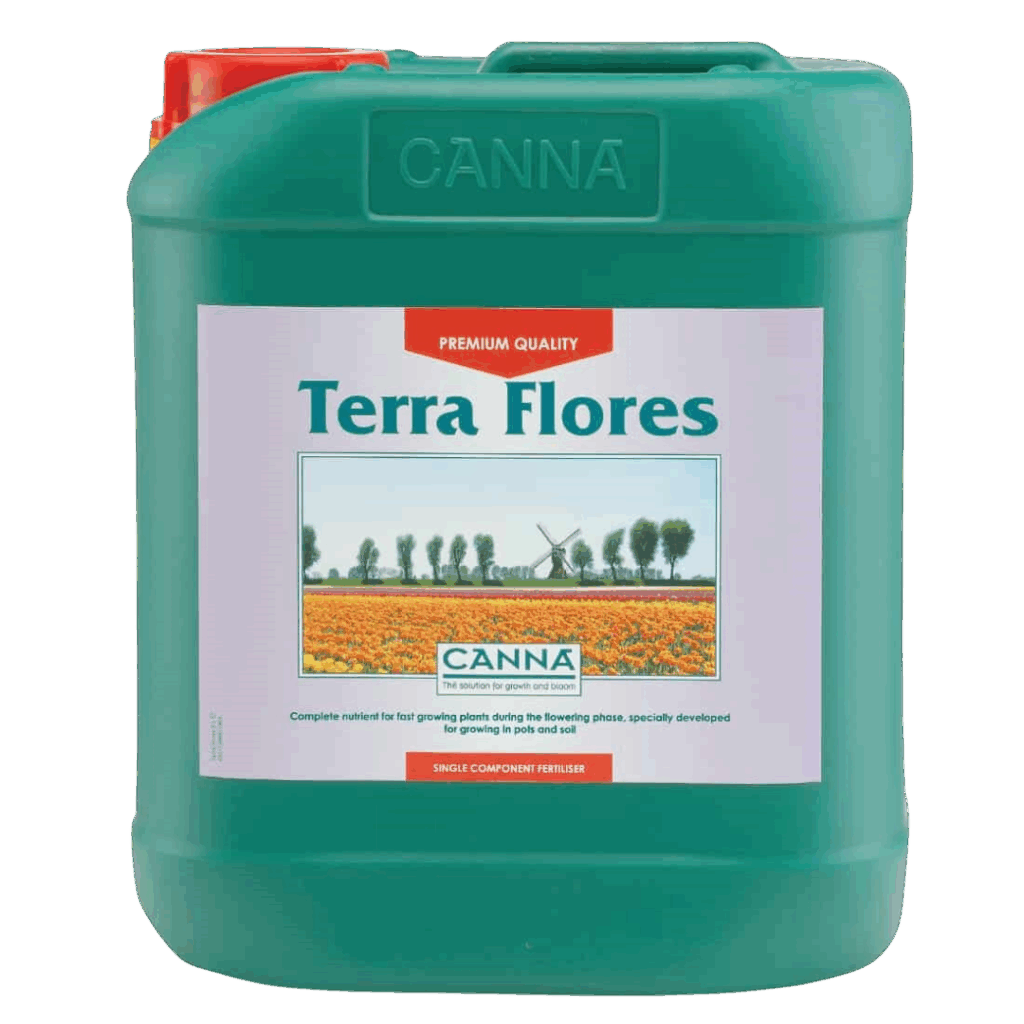 Terra Flores