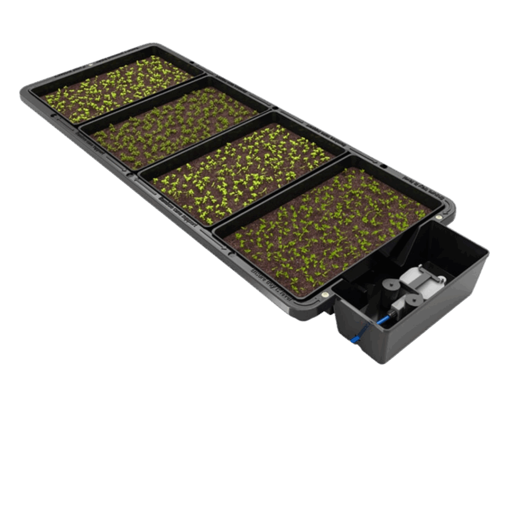 Tray2Grow