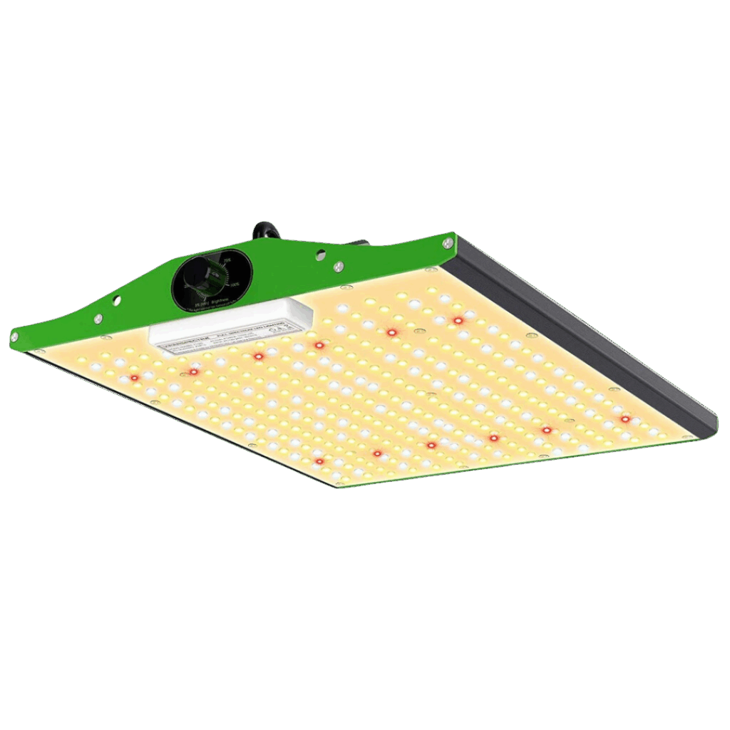 Vipar Spectra - P1000