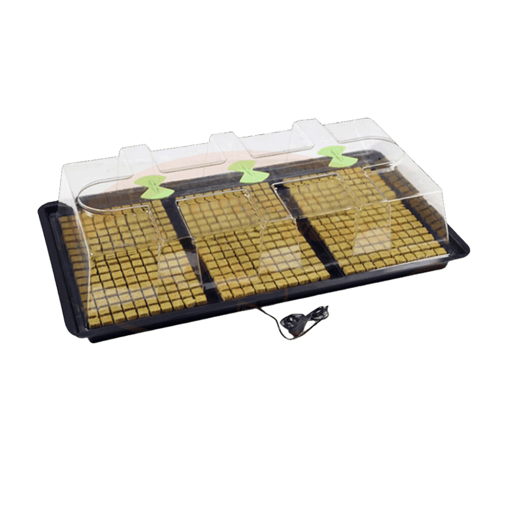 X-Stream Uppvärmd Propagator