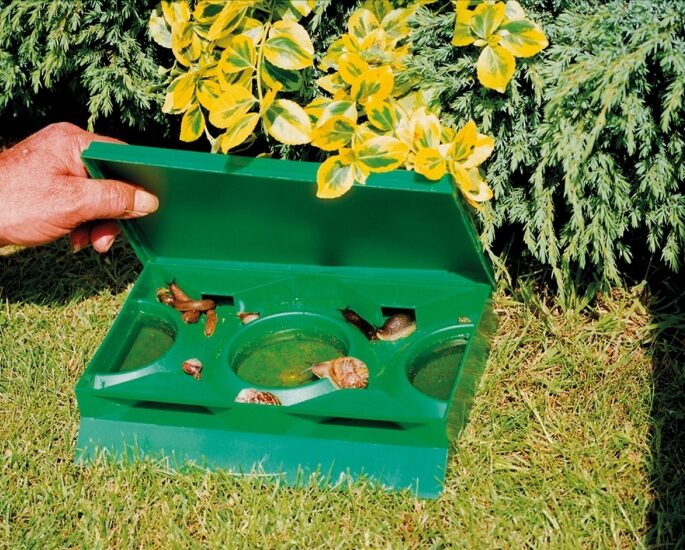 Snigelfälla - effektiv utan användning av gift