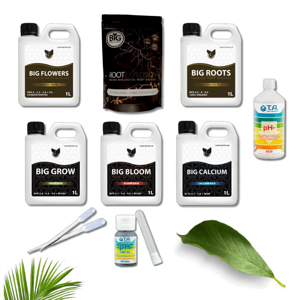 Komplett Basic Kit Startpaket – Big Plant Science