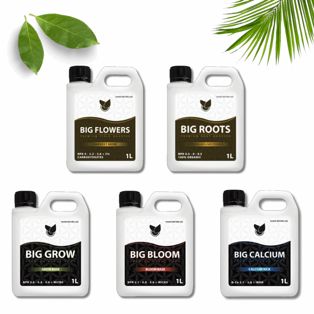 Komplett Basic Kit - Big Plant Science