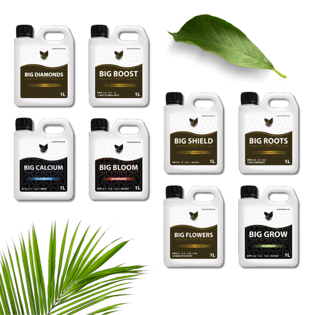 Komplett Premium Kit - Big Plant Science