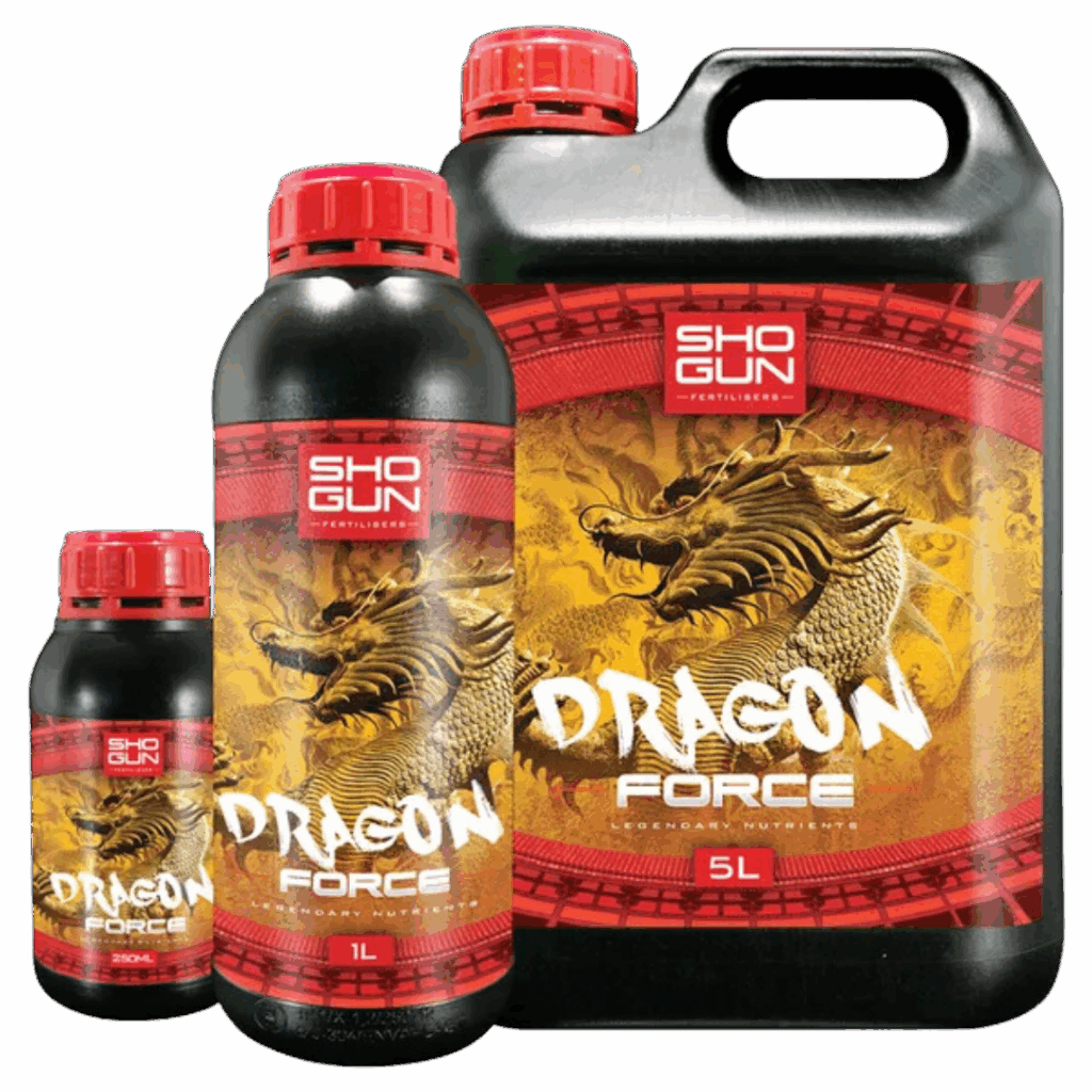 SHOGUN - Dragon Force