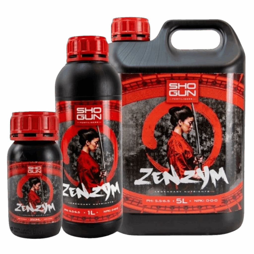 SHOGUN - Zenzym