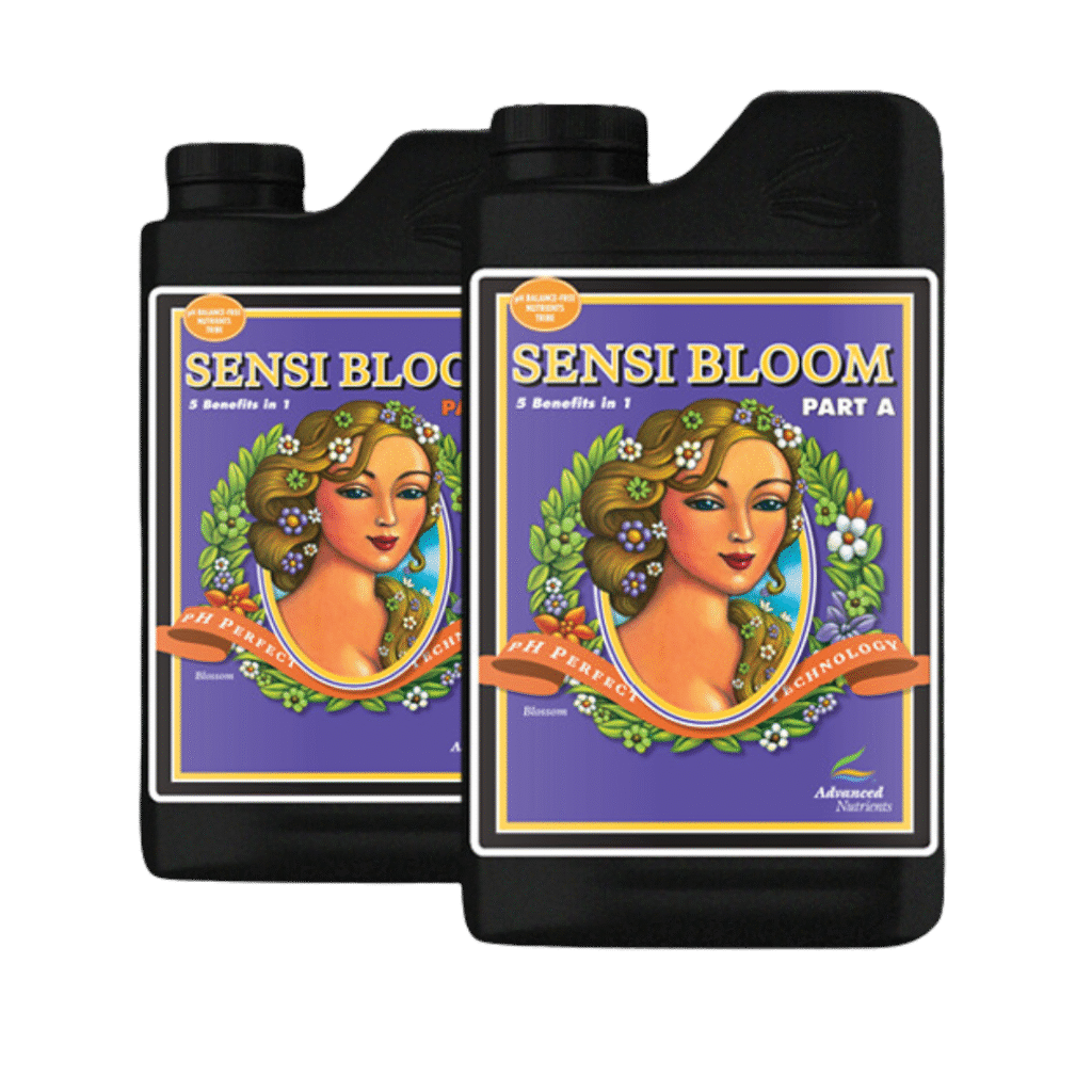 Sensi Bloom A&B