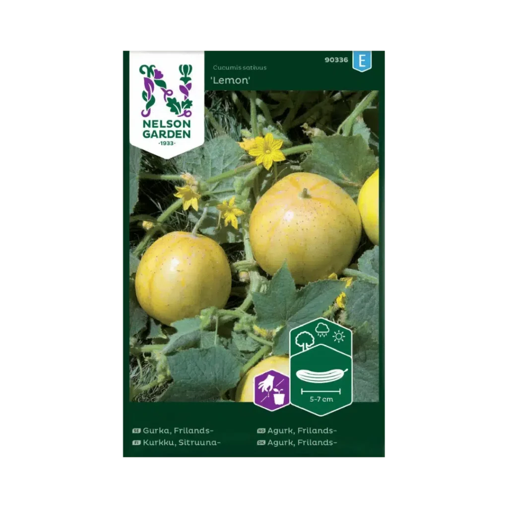Frilandsgurka 'Lemon'