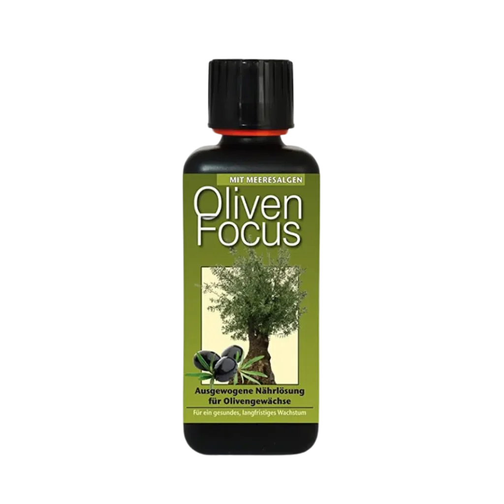 Olive Focus 1L