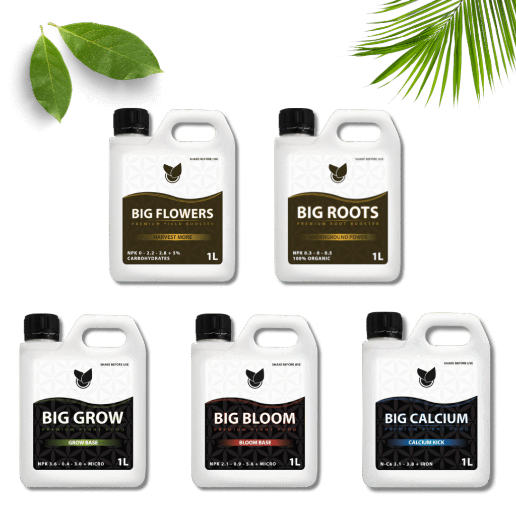 Komplett Basic Kit - Big Plant Science