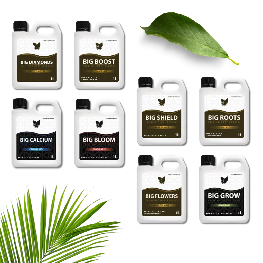 Komplett Premium-kit - Big Plant Science