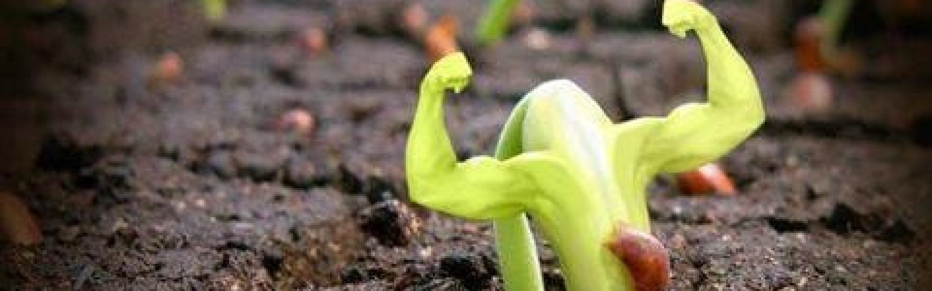 GÅR DU OGSÅ MEGET OP I DINE PLANTERS VELBEFINDENDE?