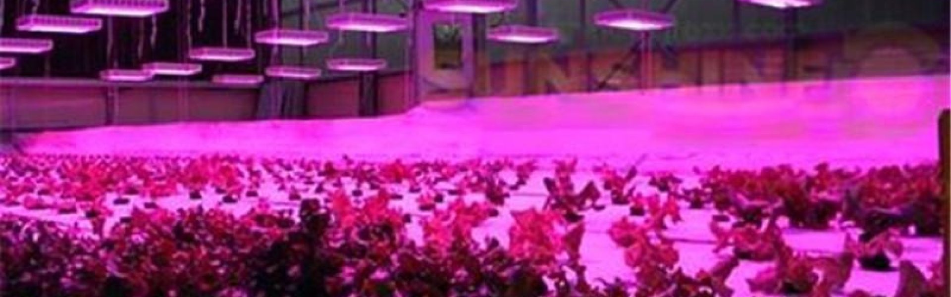 FAKTA OM LED LYS OG NEDBRYDNING AF EFFEKT